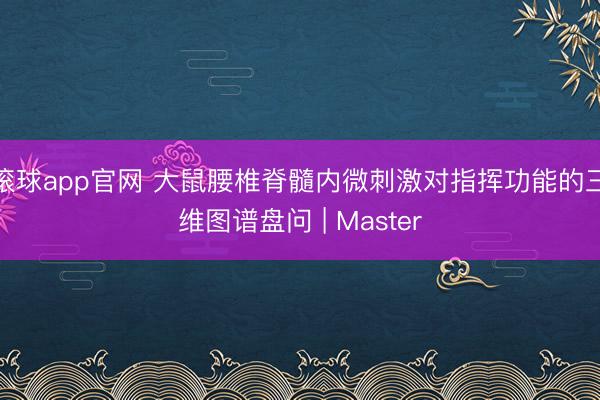 滚球app官网 大鼠腰椎脊髓内微刺激对指挥功能的三维图谱盘问 | Master