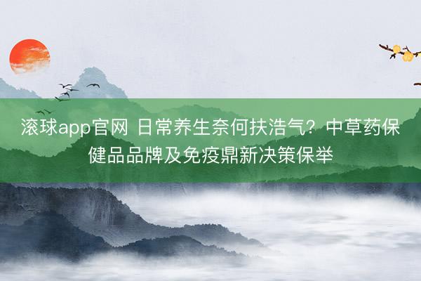 滚球app官网 日常养生奈何扶浩气?中草药保健品品牌及免疫鼎新决策保举