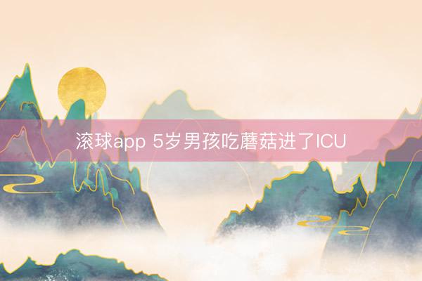 滚球app 5岁男孩吃蘑菇进了ICU