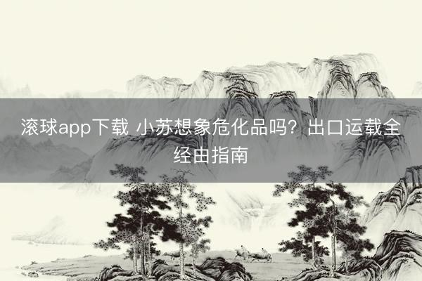 滚球app下载 小苏想象危化品吗？出口运载全经由指南