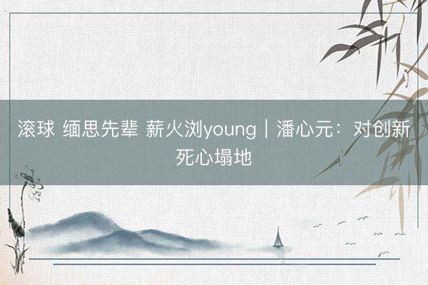 滚球 缅思先辈 薪火浏young｜潘心元：对创新死心塌地