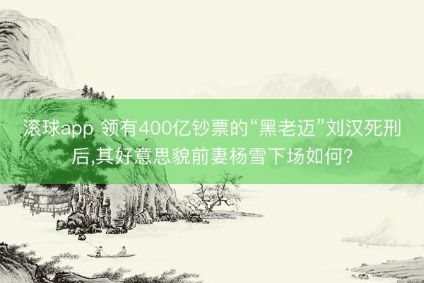 滚球app 领有400亿钞票的“黑老迈”刘汉死刑后,其好意思貌前妻杨雪下场如何?