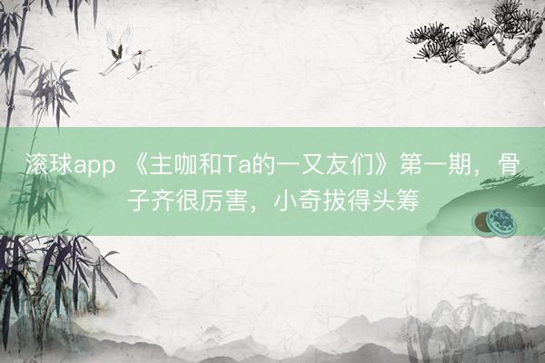 滚球app 《主咖和Ta的一又友们》第一期，骨子齐很厉害，小奇拔得头筹