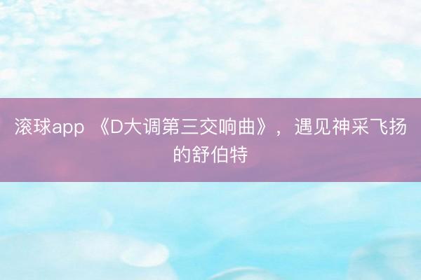 滚球app 《D大调第三交响曲》,遇见神采飞扬的舒伯特