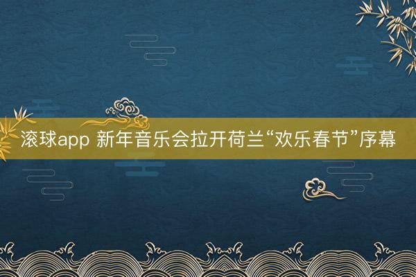 滚球app 新年音乐会拉开荷兰“欢乐春节”序幕