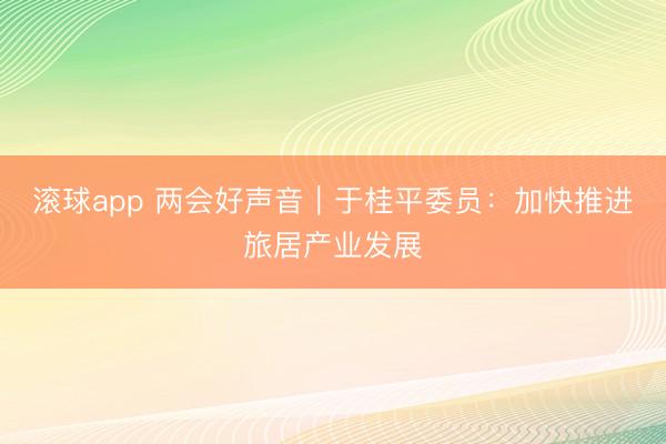 滚球app 两会好声音|于桂平委员:加快推进旅居产业发展