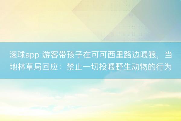 滚球app 游客带孩子在可可西里路边喂狼，当地林草局回应：禁止一切投喂野生动物的行为
