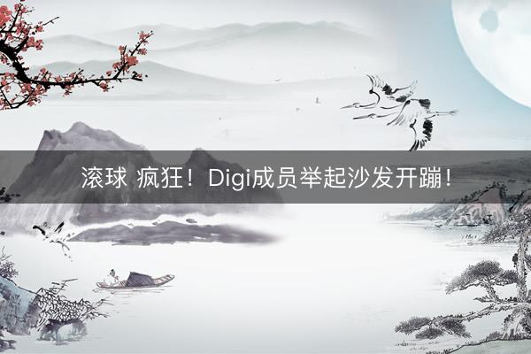 滚球 疯狂！Digi成员举起沙发开蹦！
