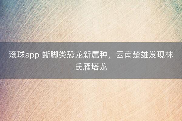 滚球app 蜥脚类恐龙新属种，云南楚雄发现林氏雁塔龙