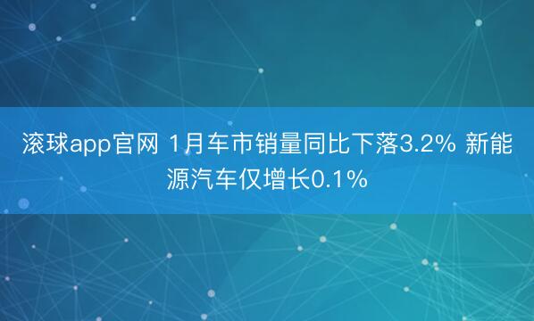 滚球app官网 1月车市销量同比下落3.2% 新能源汽车仅增长0.1%
