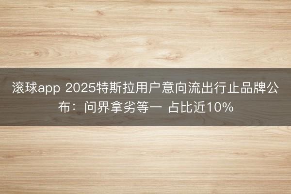 滚球app 2025特斯拉用户意向流出行止品牌公布:问界拿劣等一 占比近10%