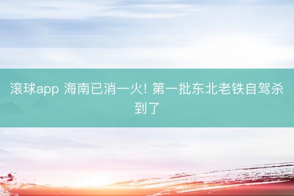 滚球app 海南已消一火! 第一批东北老铁自驾杀到了