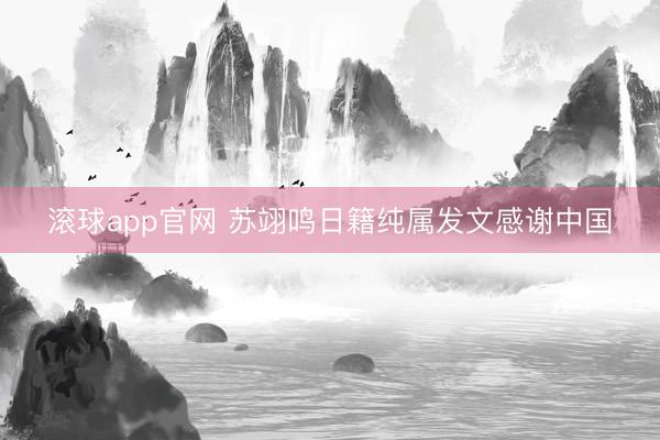 滚球app官网 苏翊鸣日籍纯属发文感谢中国