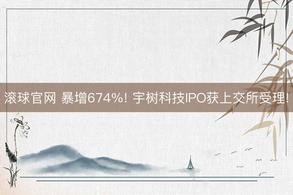 滚球官网 暴增674%! 宇树科技IPO获上交所受理!