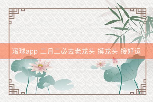 滚球app 二月二必去老龙头 摸龙头 接好运