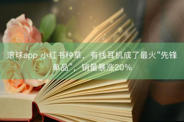 滚球app 小红书种草，有线耳机成了最火“先锋单品”，销量暴涨20%
