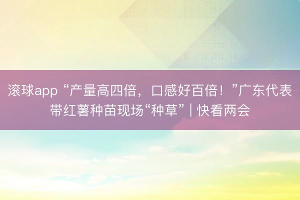 滚球app “产量高四倍，口感好百倍！”广东代表带红薯种苗现场“种草” | 快看两会