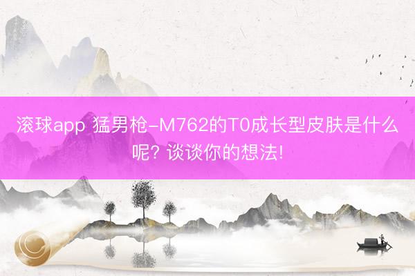 滚球app 猛男枪-M762的T0成长型皮肤是什么呢? 谈谈你的想法!