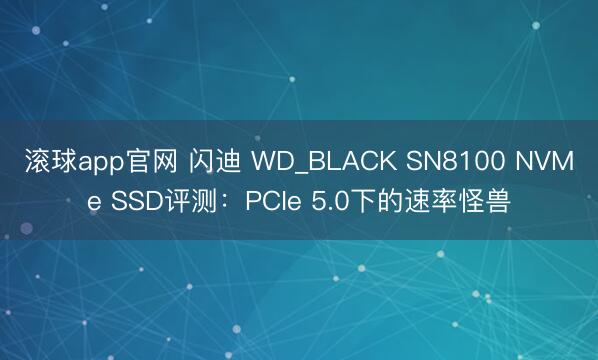 滚球app官网 闪迪 WD_BLACK SN8100 NVMe SSD评测：PCIe 5.0下的速率怪兽