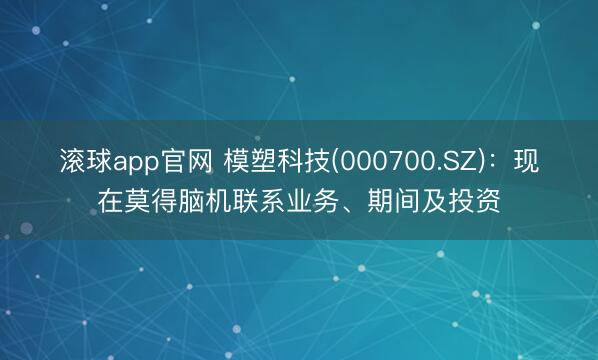 滚球app官网 模塑科技(000700.SZ)：现在莫得脑机联系业务、期间及投资