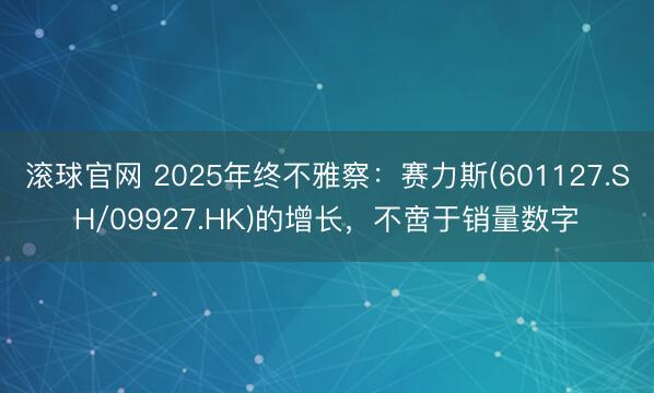 滚球官网 2025年终不雅察:赛力斯(601127.SH/09927.HK)的增长,不啻于销量数字