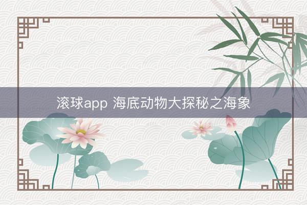 滚球app 海底动物大探秘之海象