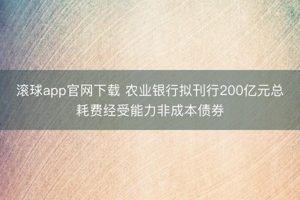 滚球app官网下载 农业银行拟刊行200亿元总耗费经受能力非成本债券