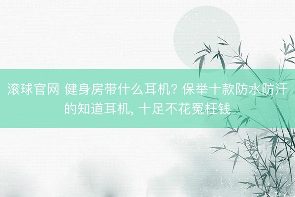 滚球官网 健身房带什么耳机? 保举十款防水防汗的知道耳机, 十足不花冤枉钱