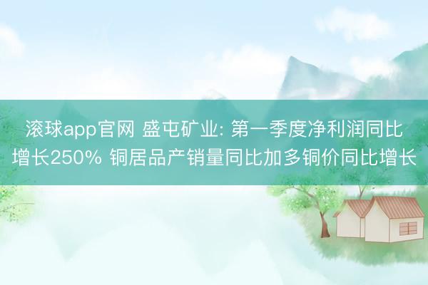 滚球app官网 盛屯矿业: 第一季度净利润同比增长250% 铜居品产销量同比加多铜价同比增长