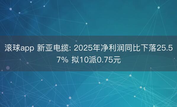 滚球app 新亚电缆: 2025年净利润同比下落25.57% 拟10派0.75元