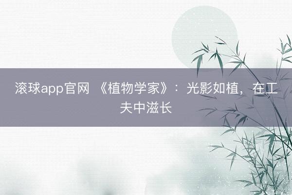滚球app官网 《植物学家》：光影如植，在工夫中滋长