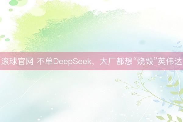 滚球官网 不单DeepSeek，大厂都想“烧毁”英伟达