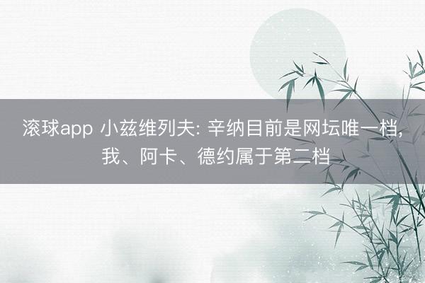 滚球app 小兹维列夫: 辛纳目前是网坛唯一档， 我、阿卡、德约属于第二档