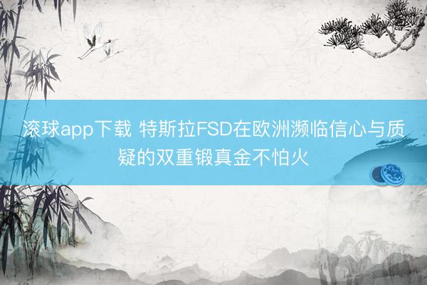 滚球app下载 特斯拉FSD在欧洲濒临信心与质疑的双重锻真金不怕火