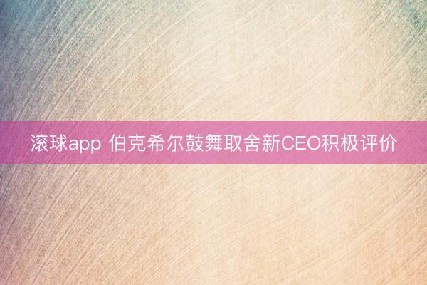 滚球app 伯克希尔鼓舞取舍新CEO积极评价