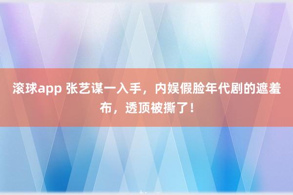 滚球app 张艺谋一入手，内娱假脸年代剧的遮羞布，透顶被撕了！