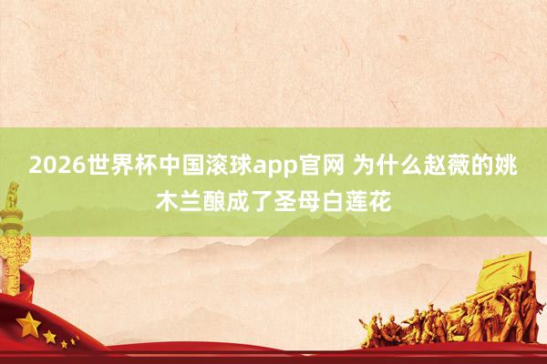 2026世界杯中国滚球app官网 为什么赵薇的姚木兰酿成了圣母白莲花