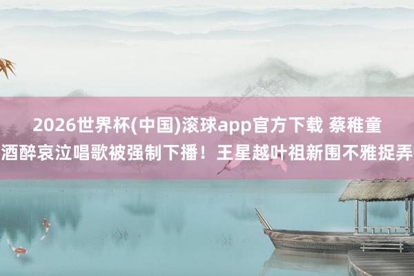 2026世界杯(中国)滚球app官方下载 蔡稚童酒醉哀泣唱歌被强制下播！王星越叶祖新围不雅捉弄