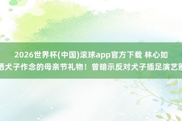 2026世界杯(中国)滚球app官方下载 林心如晒犬子作念的母亲节礼物！曾暗示反对犬子插足演艺圈