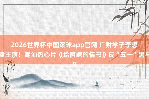 2026世界杯中国滚球app官网 广财学子李想潼主演！潮汕热心片《给阿嬷的情书》成“五一”黑马