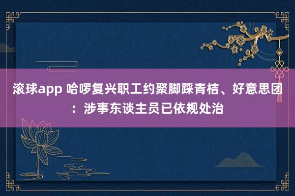 滚球app 哈啰复兴职工约聚脚踩青桔、好意思团:涉事东谈主员已依规处治