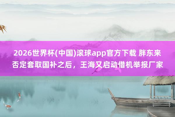2026世界杯(中国)滚球app官方下载 胖东来否定套取国补之后，王海又启动借机举报厂家