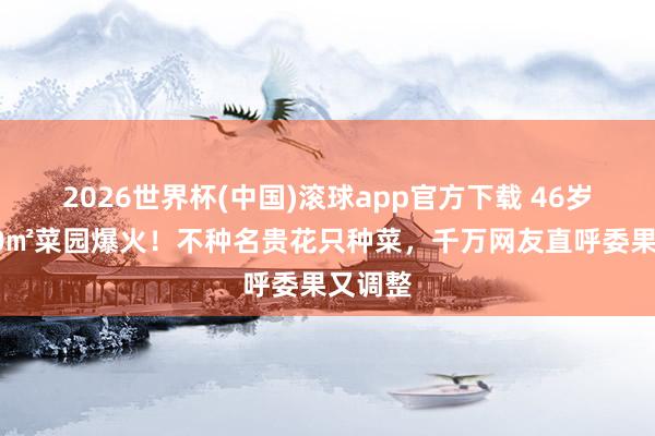 2026世界杯(中国)滚球app官方下载 46岁殷桃30㎡菜园爆火！不种名贵花只种菜，千万网友直呼委果又调整