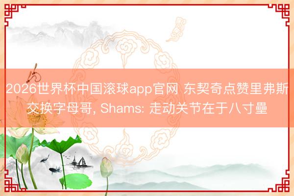 2026世界杯中国滚球app官网 东契奇点赞里弗斯交换字母哥， Shams: 走动关节在于八寸壘