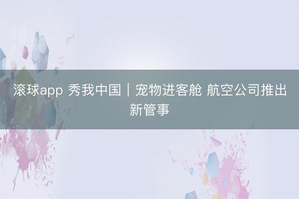 滚球app 秀我中国｜宠物进客舱 航空公司推出新管事