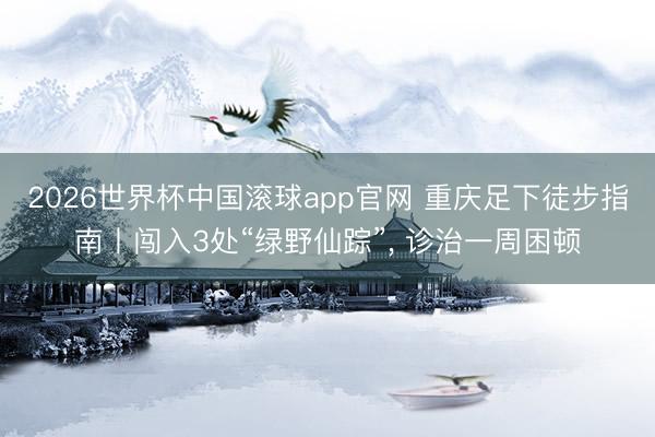 2026世界杯中国滚球app官网 重庆足下徒步指南丨闯入3处“绿野仙踪”， 诊治一周困顿