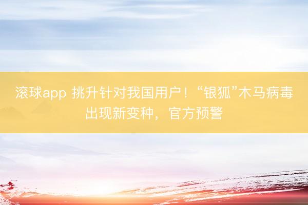 滚球app 挑升针对我国用户！“银狐”木马病毒出现新变种，官方预警
