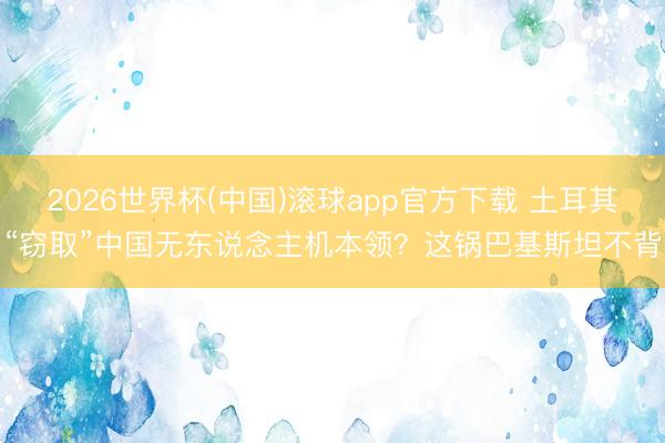 2026世界杯(中国)滚球app官方下载 土耳其“窃取”中国无东说念主机本领?这锅巴基斯坦不背
