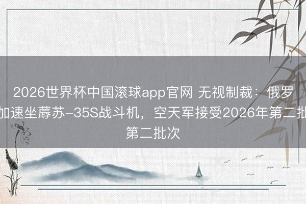 2026世界杯中国滚球app官网 无视制裁:俄罗斯加速坐蓐苏-35S战斗机,空天军接受2026年第二批次