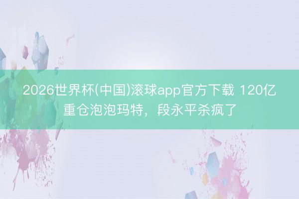 2026世界杯(中国)滚球app官方下载 120亿重仓泡泡玛特，段永平杀疯了